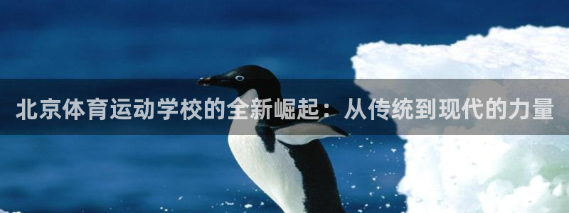 JJB竞技宝官网下载平台假的吗是真的吗吗:北京体育运动学校的