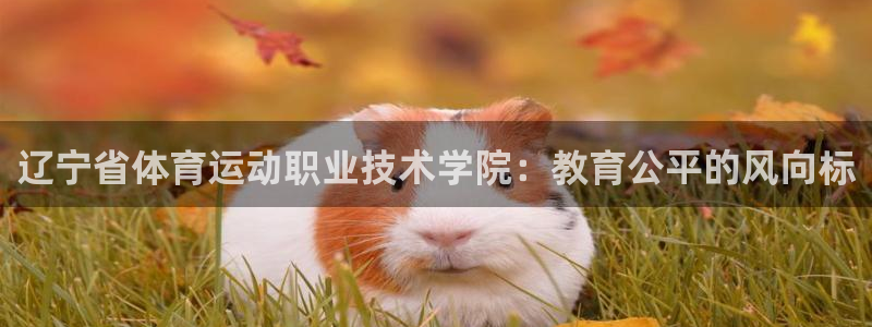 JJB竞技宝官方正版app五金厂:辽宁省体育运动职业技术学院