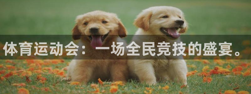 JJB竞技宝官方正版app娱乐网站:体育运动会:一场全民竞技